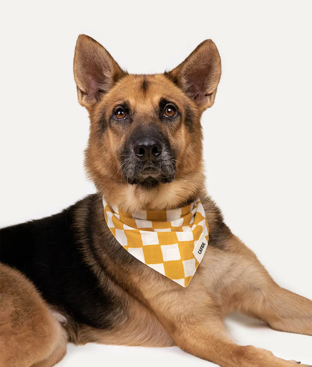 Bandana Perro Diseño Vichy Mostaza, Nata