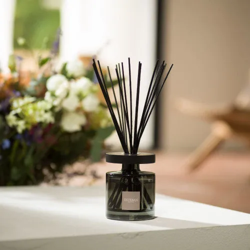 Esteban Bouquet Ellipse con perfume Iris Cachemir