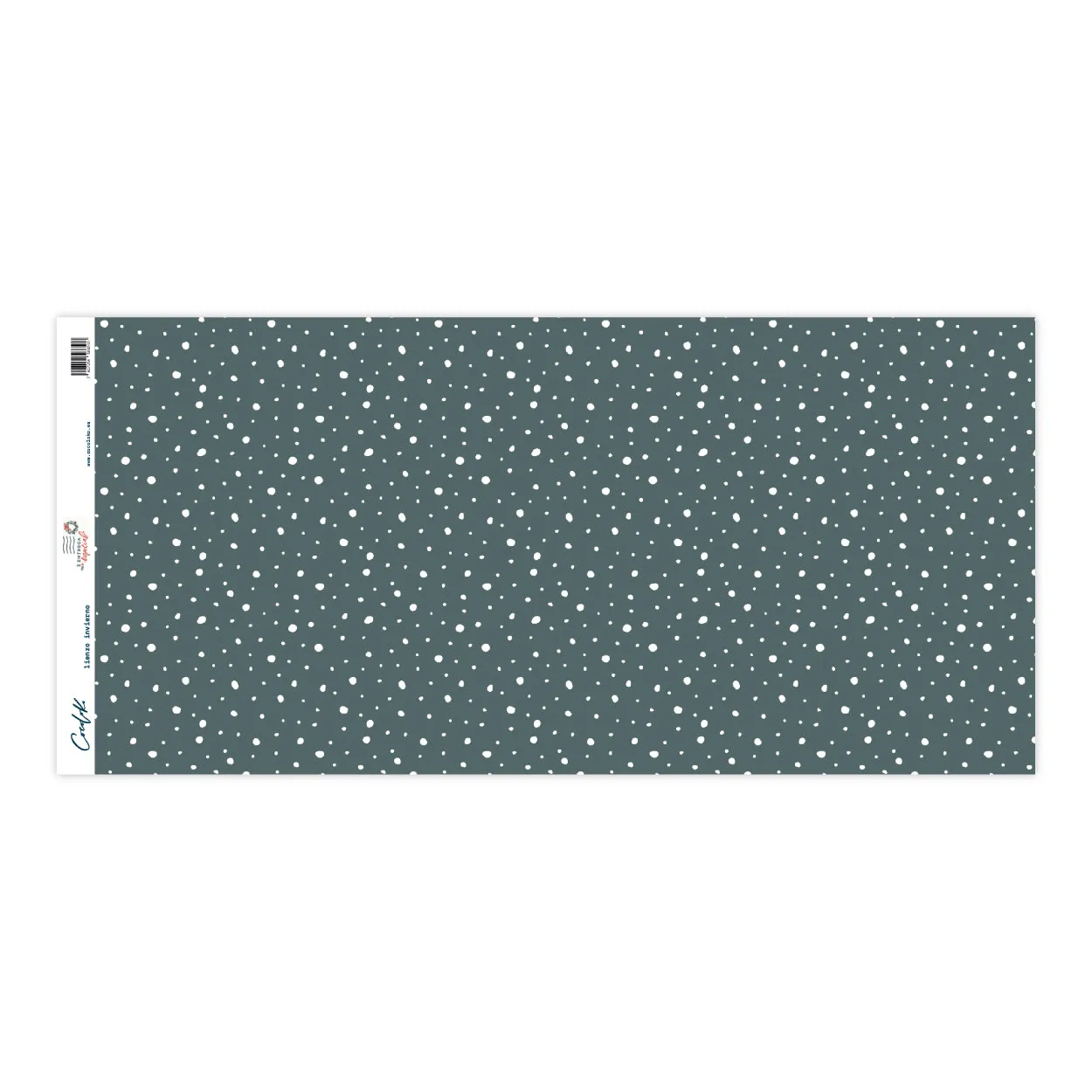Lienzo 22x50cm Invierno ENTREGA ESPECIAL