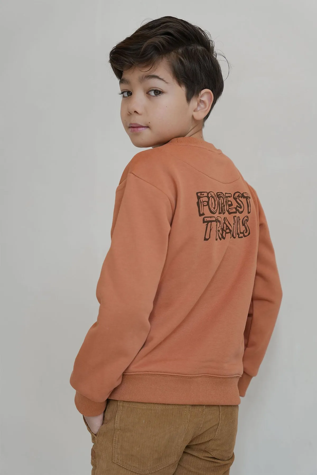 Sweater Dailey Terra