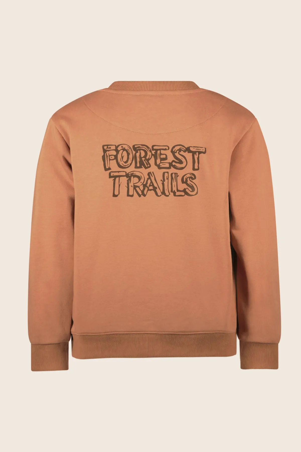 Sweater Dailey Terra